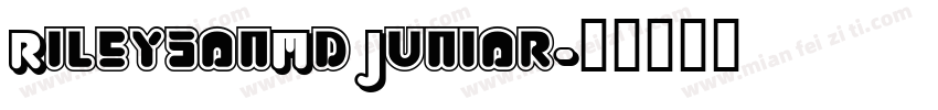 RileysonMd Junior字体转换